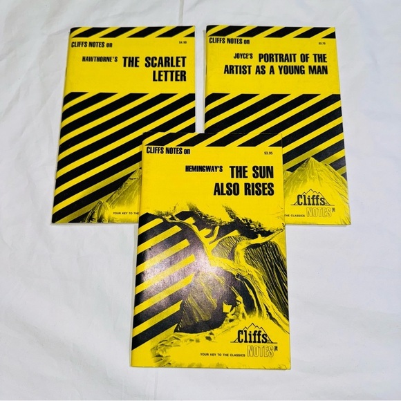 Cliffs Notes Set Of Three Books Hawthorne & Joyce / The Scarlet Letter & More - Picture 3 of 7